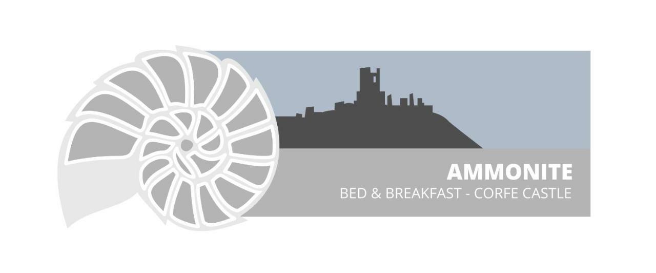 كورف كاسل Ammonite Bed & Breakfast المظهر الخارجي الصورة