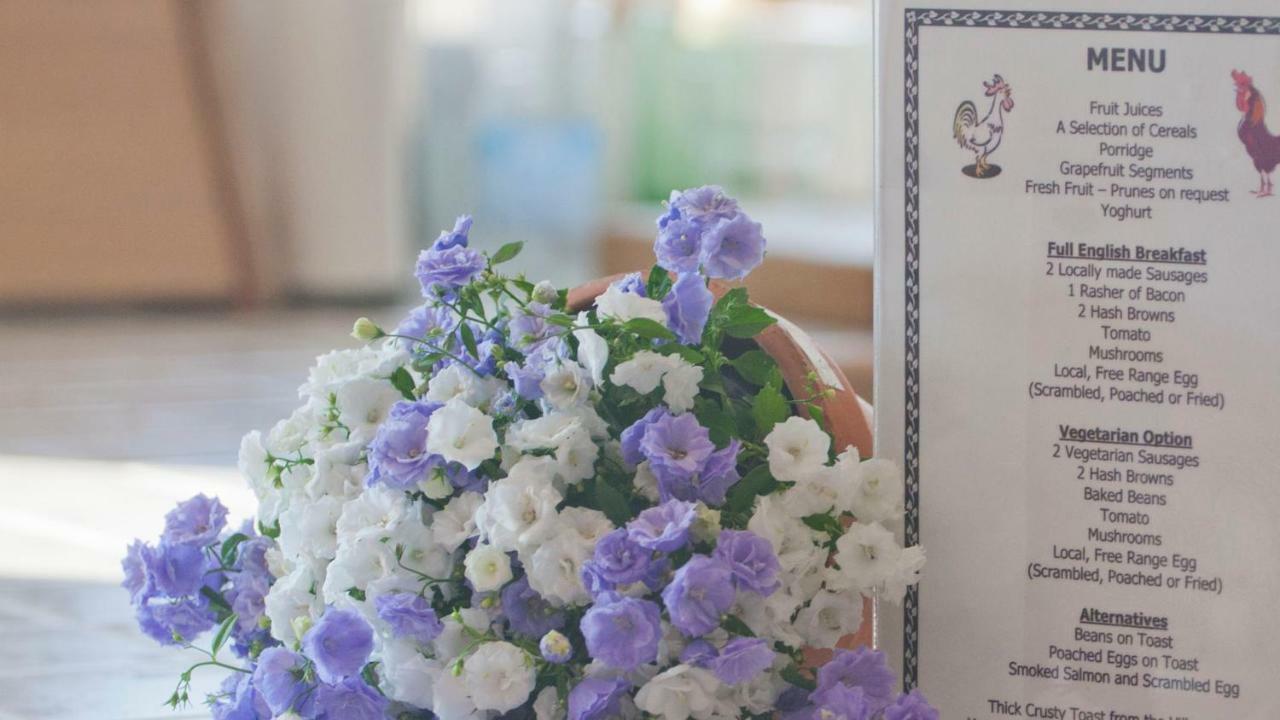 كورف كاسل Ammonite Bed & Breakfast المظهر الخارجي الصورة