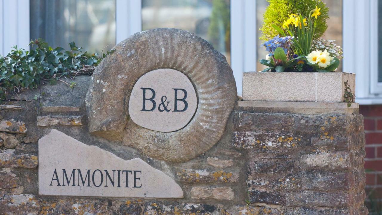كورف كاسل Ammonite Bed & Breakfast المظهر الخارجي الصورة